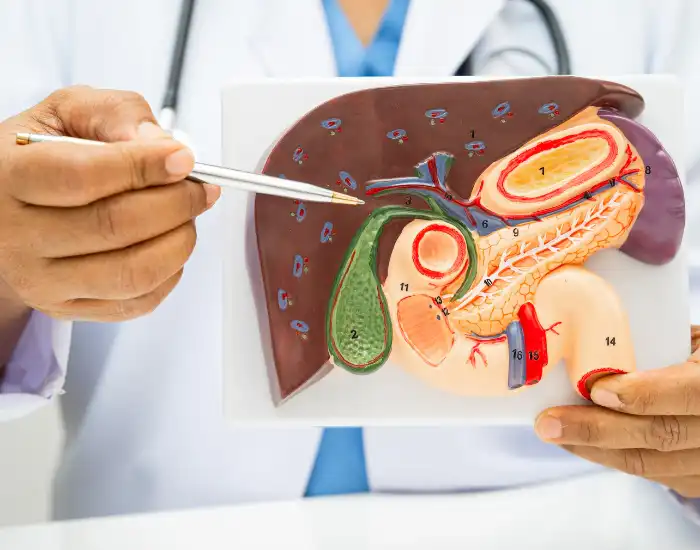 Acute Cholecystitis: Symptoms, Causes, and When to Seek Care