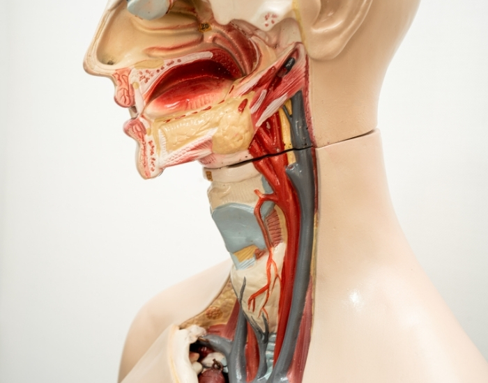 acid reflux symptoms